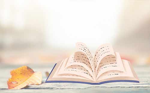 石家莊哪里有成人高考？