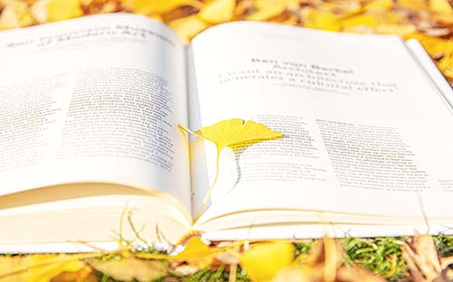 成人高考考哪些?