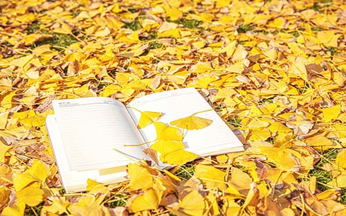 山西成人高考報(bào)名條件及要求？