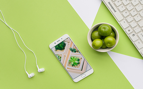 成考為什么通過率高？