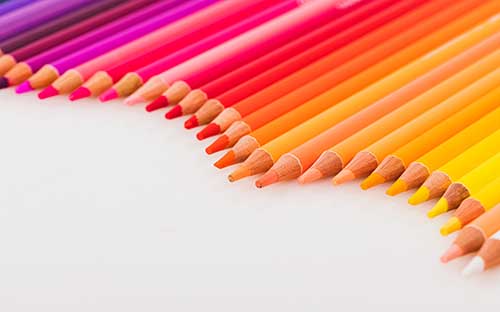 成考報考哪個專業(yè)容易錄??？