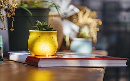 留學(xué)期間學(xué)俄語(yǔ)難嗎，俄語(yǔ)等級(jí)考試有什么學(xué)習(xí)技巧嗎