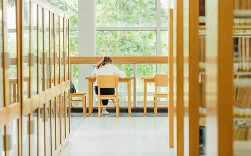 大連外國語大學(xué)國際本科怎么樣