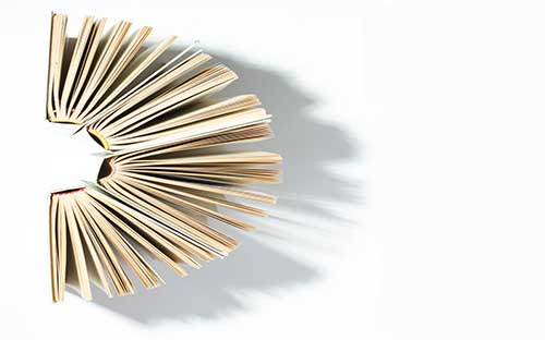 深圳大學(xué)2+2國(guó)際本科今年開設(shè)了嗎，去讀怎么樣