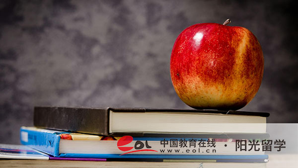 福建知名國際本科有哪些，推薦哪些項目