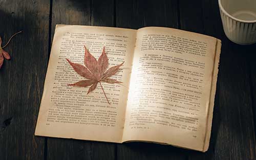 安徽自考大專在哪里報(bào)名？有哪些科目？